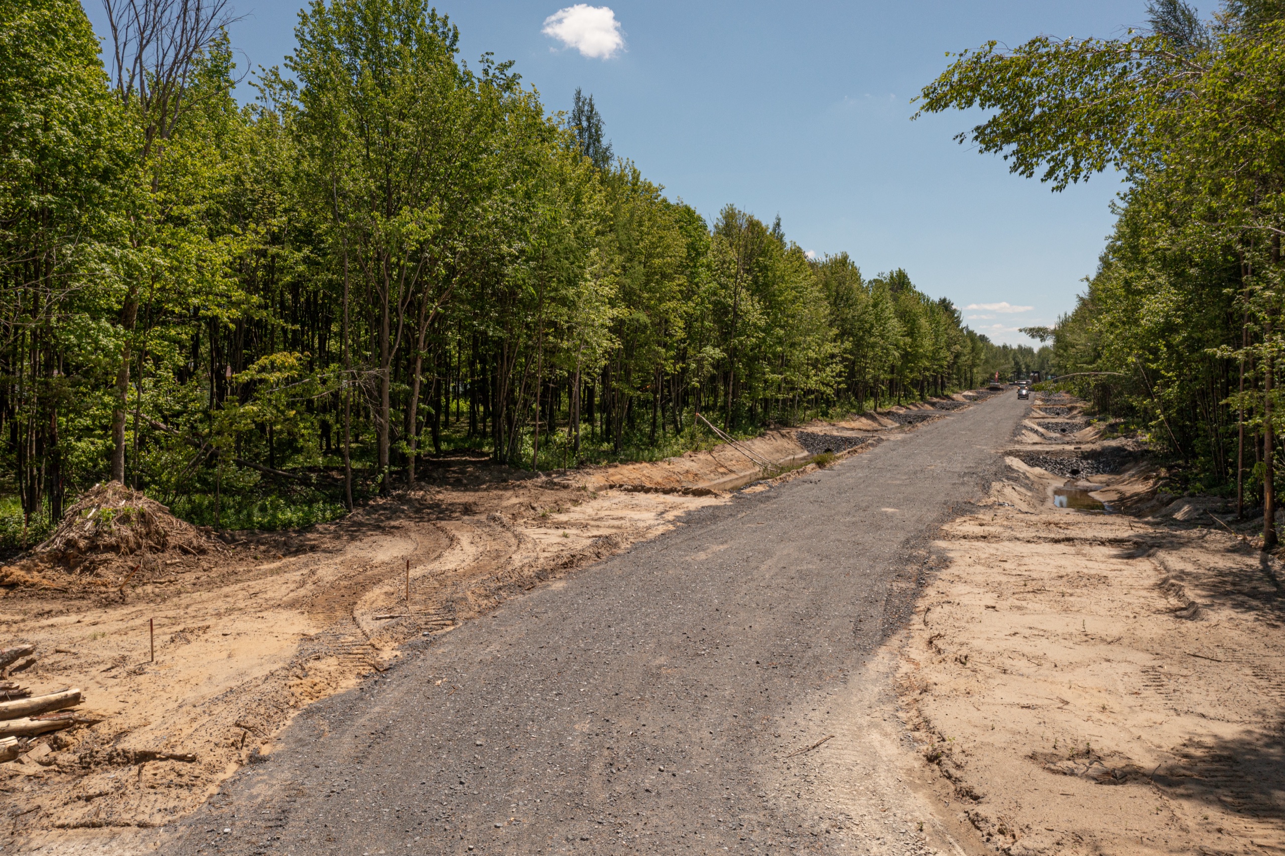 L'entrée du nouveau quartier PUR Granby depuis la rue, bordée d'arbres matures